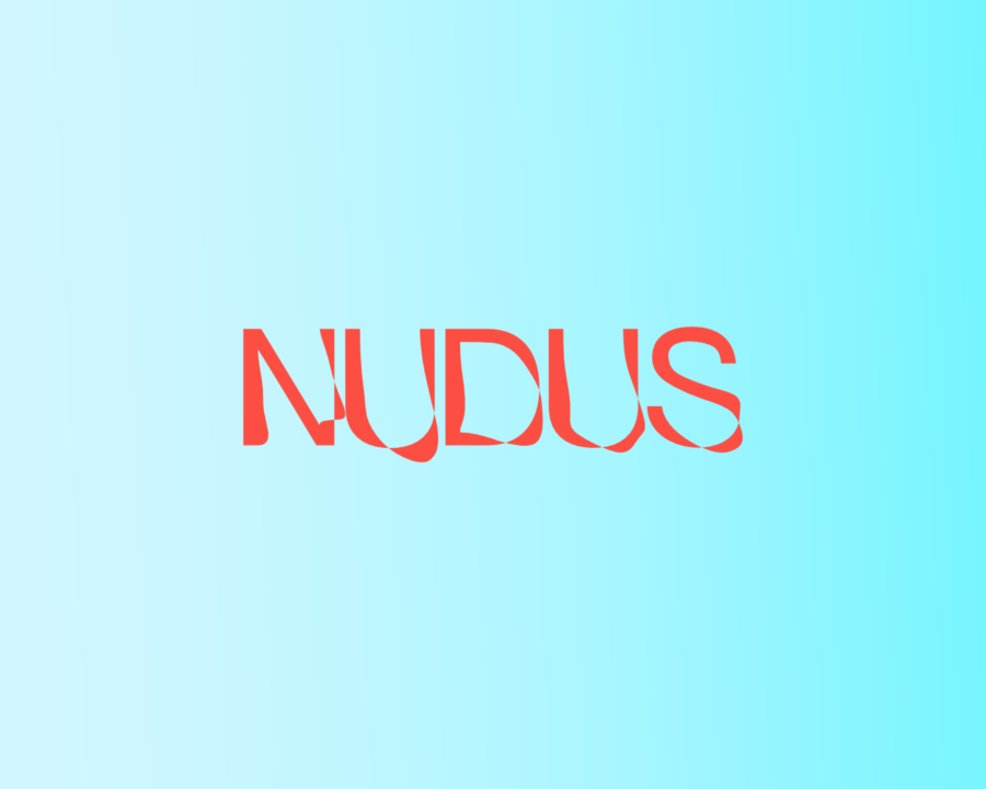 NUDUS - Maatwerk Wordpress Webdevelopment